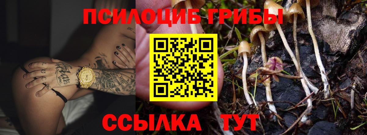 Псилоцибиновые грибы ЛСД  Вход с VPN  Галлюциногенные грибы GOLDEN TEACHER  Ногинск 