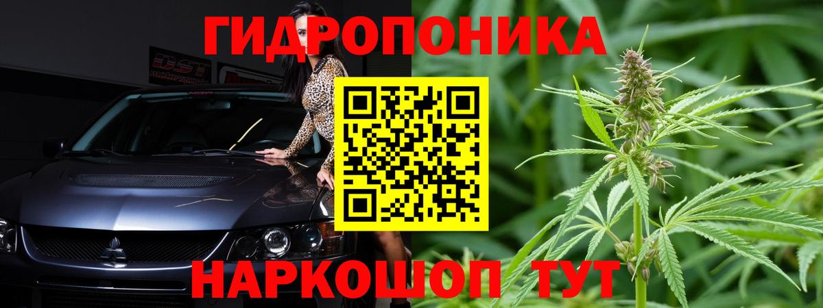Шишки марихуана марихуана Ногинск